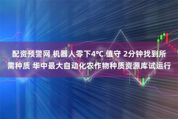 配资预警网 机器人零下4℃ 值守 2分钟找到所需种质 华中最大自动化农作物种质资源库试运行